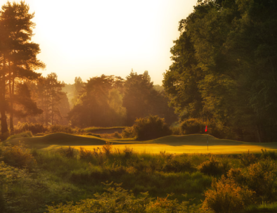 green du golf de saint-germain-en-laye au coucher du soleil