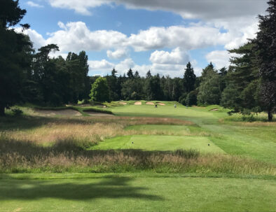 green du golf de saint-germain-en-laye