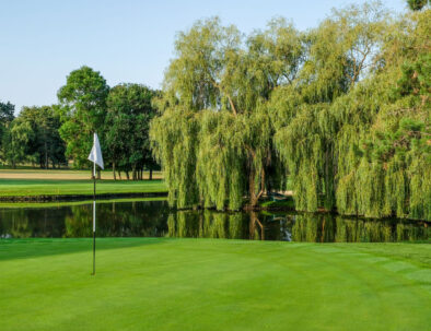 green du golf de saint-nom-la-breteche avec une étendue d'eau au fond